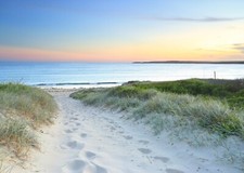 STRAND MEER NATUR PALMEN 3D Vlies Fototapete Wohnzimmer Schlafzimmer TAPETE