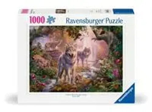 Erwachsenenpuzzle 1000 teile - 1000,
