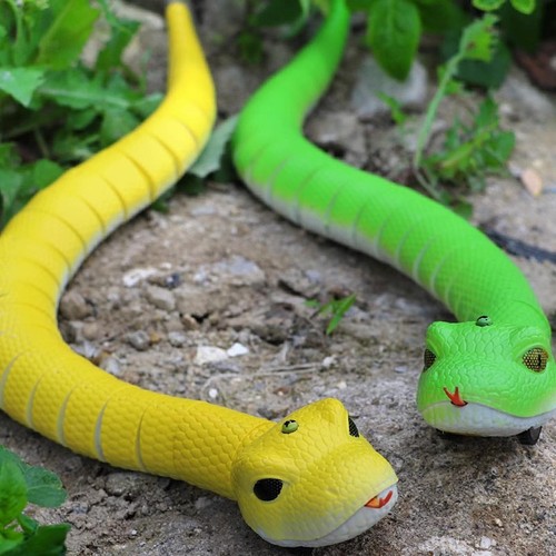 Fernbedienung schlange - fernbedienung,