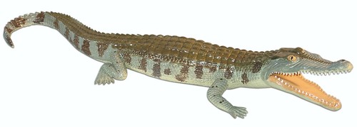 Krokodil american alligator - krokodil,