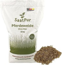 Saatpur dauerweide - saatpur, 10