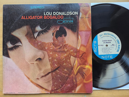 Lou donaldson alligator - lou,