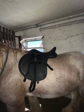 Wintec 500 VS 17 Zoll HART