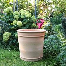 Terracotta Pflanzkübel Canna
