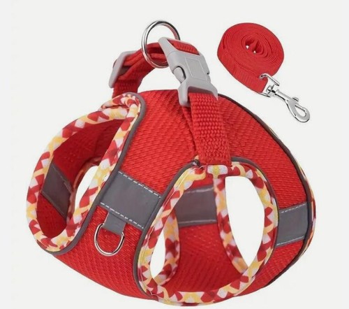 Hundegeschirr für kleine - hundegeschirr,