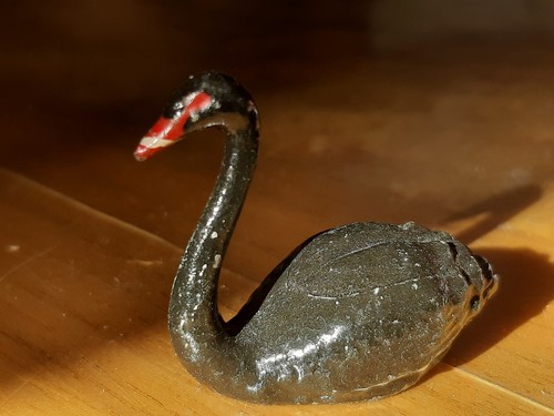 Schwarzer schwan swan britains - schwan,