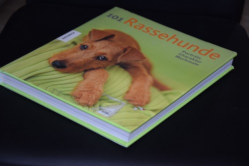101 rassehunde porträts - 101,