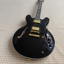 E-Gitarre, halbhöhlig