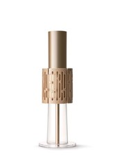 LightAir Luftreiniger IonFlow Evolution gold