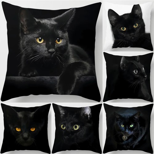 Kissenbezug schwarze katze - schwarze,