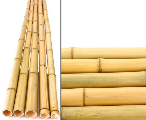 Bambusrohr gelb 180cm moso - gelb, 180cm,