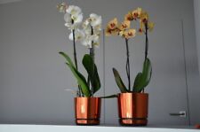 Blumentopf mit Untersetzer – 29 Farben, 7 Größen, mit Drainage & Design