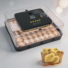 12~56 Eier Vollautomatische