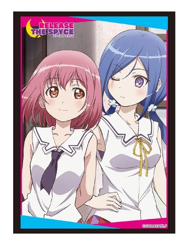 Bushiroad sleeve collection - sleeve,
