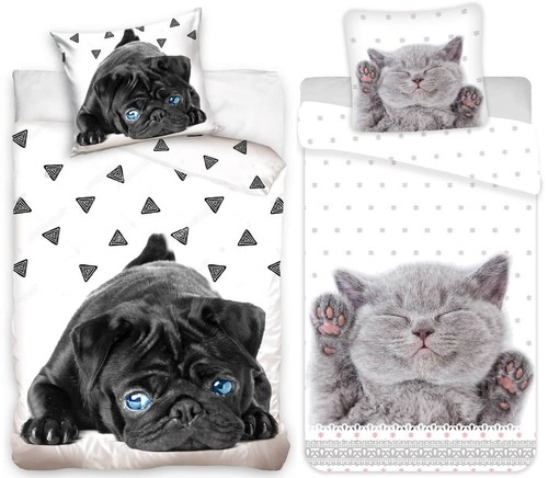 Katze hund mops - katze, 2