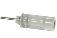 Braun Stift Baum Scheiben Tür