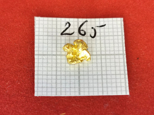 439 gramm goldnugget alaska - gramm,