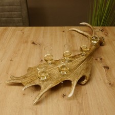 Schnapsanbieter 6 kleine Gläser Damhirschstange Steckglas Schnaps 27.60.3.38