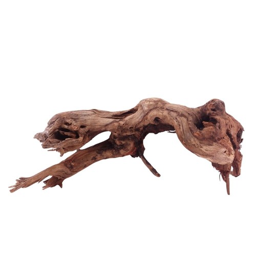 Driftwood flußwurzel - xl,