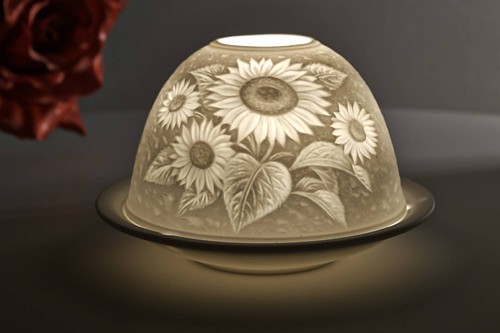 Dome light 30007 - light, nr.