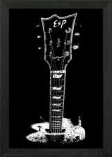 ESP Eclipse gerahmtes Wandbild