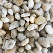 FLUSSKIESEL 20-60mm. 5kg. WEISS Kieselsteine Dekosteine Natursteine