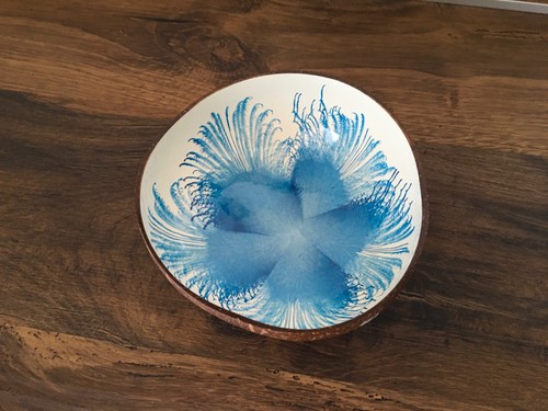 Kokosnuss schale bowl - kokosnuss, schale,