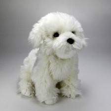 Malteser havaneser bichon - havaneser,