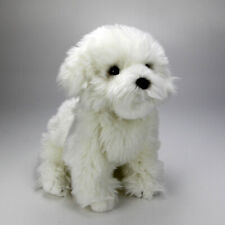 Malteser Havaneser Bichon