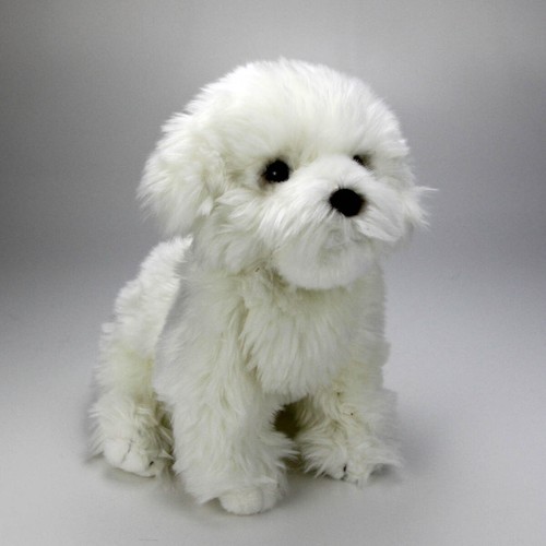 Malteser havaneser bichon - havaneser,