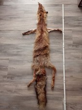 Rotfuchs Fell Fuchsfell  Mittelalter LARP 130 cm Schlauch gegerbt Stola