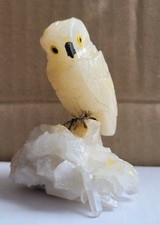 Edelsteinvogel Schnee Eule auf