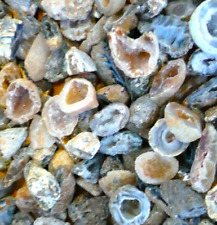 1kg (ca. 50 St.) Achat Geoden