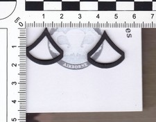 US Rangabzeichen- Private