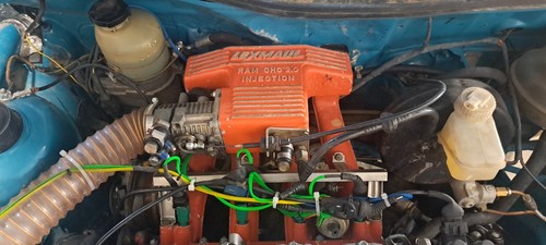 C20ne lexmaul ram induction - c20ne,