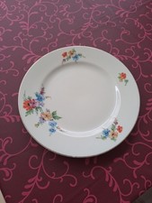 großer Teller und 6