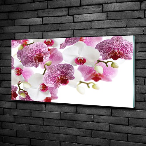 Wandbild glas bild - glas-bild, druck