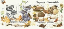 Rumänien 1994 MiNr. Block 292 "Essbare und giftige Pilze" o/Gestempelt
