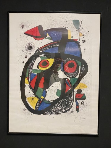 Joan miro farb - joan,