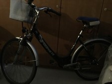 Damenfahrrad profete