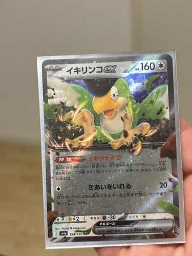 Titel pokémon karte - pokémon,