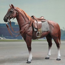 Hiplay did brown - did, military