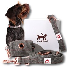 Verstellbares Hundehalsband
