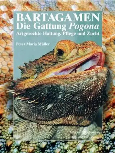 Bartagamen peter maria - peter,
