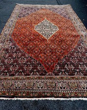 Wunderschönen echten Perser