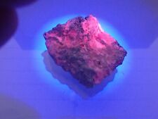 Calcit- Aragonit  ( UV Langwelle aktiv ) Grosseto, Italien