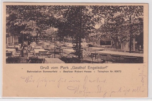 903749 gruß vom park - 903749,