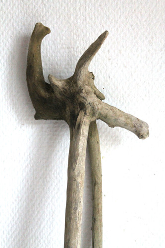 Schwemmholz treibholz - schwemmholz,