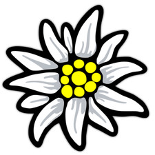 Aufkleber sticker edelweiß - sticker,