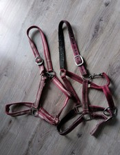 2 alte Stallhalfter/Ersatzhalfter WB/Full, ungewaschen, Zustand s. Beschreibung
